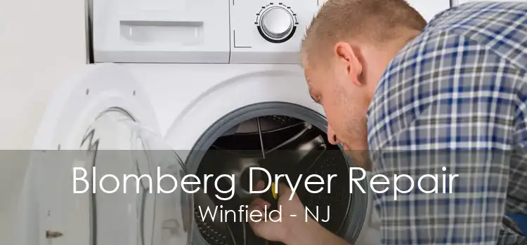 Blomberg Dryer Repair Winfield - NJ