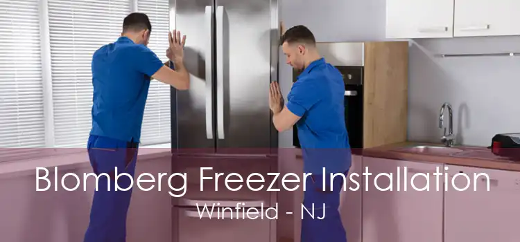 Blomberg Freezer Installation Winfield - NJ