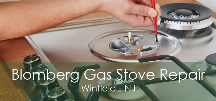 Blomberg Gas Stove Repair Winfield - NJ