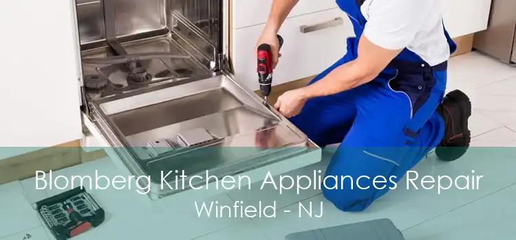 Blomberg Kitchen Appliances Repair Winfield - NJ