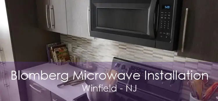 Blomberg Microwave Installation Winfield - NJ