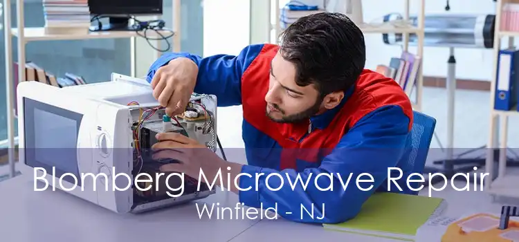 Blomberg Microwave Repair Winfield - NJ