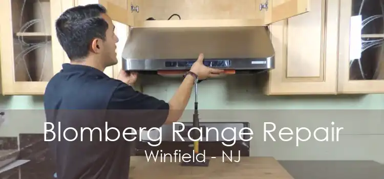 Blomberg Range Repair Winfield - NJ