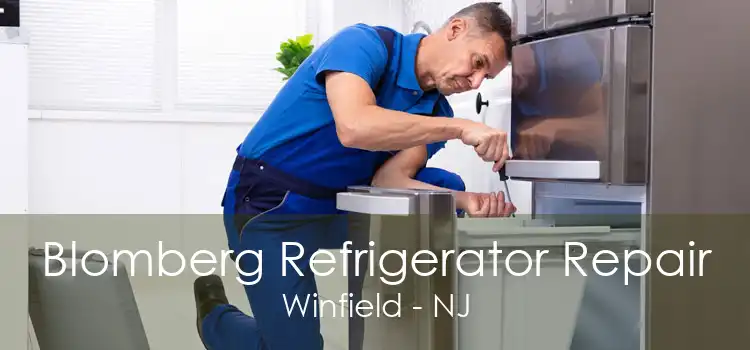 Blomberg Refrigerator Repair Winfield - NJ