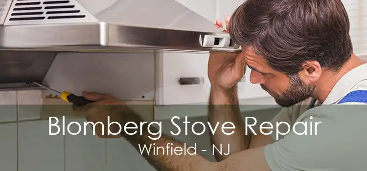 Blomberg Stove Repair Winfield - NJ