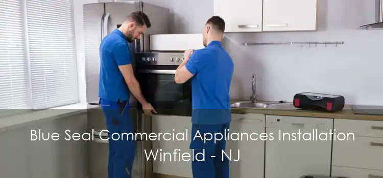 Blue Seal Commercial Appliances Installation Winfield - NJ