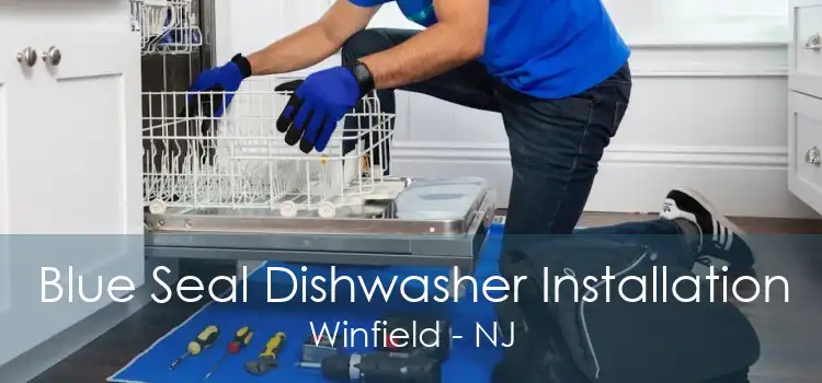 Blue Seal Dishwasher Installation Winfield - NJ