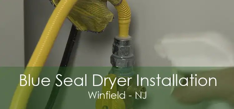 Blue Seal Dryer Installation Winfield - NJ