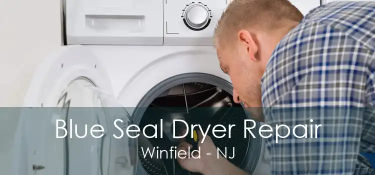 Blue Seal Dryer Repair Winfield - NJ