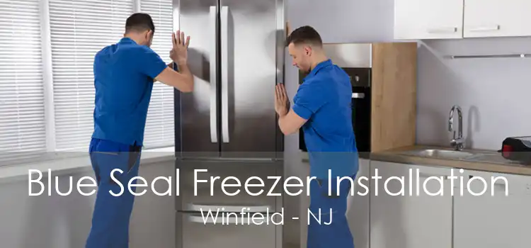 Blue Seal Freezer Installation Winfield - NJ