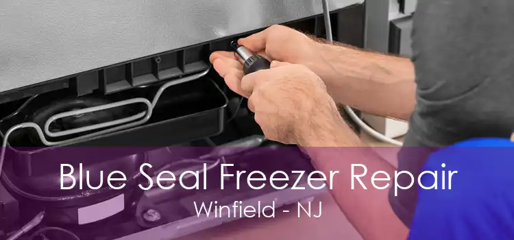 Blue Seal Freezer Repair Winfield - NJ