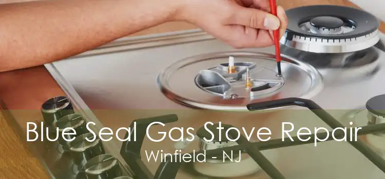 Blue Seal Gas Stove Repair Winfield - NJ