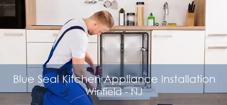 Blue Seal Kitchen Appliance Installation Winfield - NJ