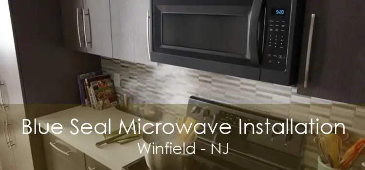 Blue Seal Microwave Installation Winfield - NJ