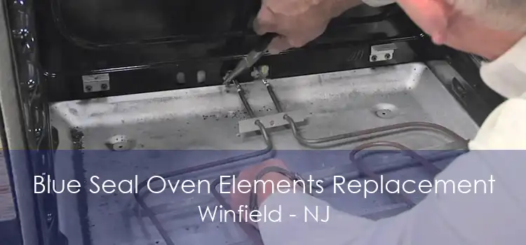 Blue Seal Oven Elements Replacement Winfield - NJ