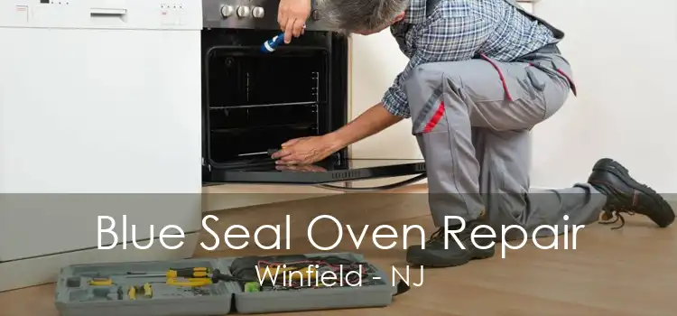 Blue Seal Oven Repair Winfield - NJ