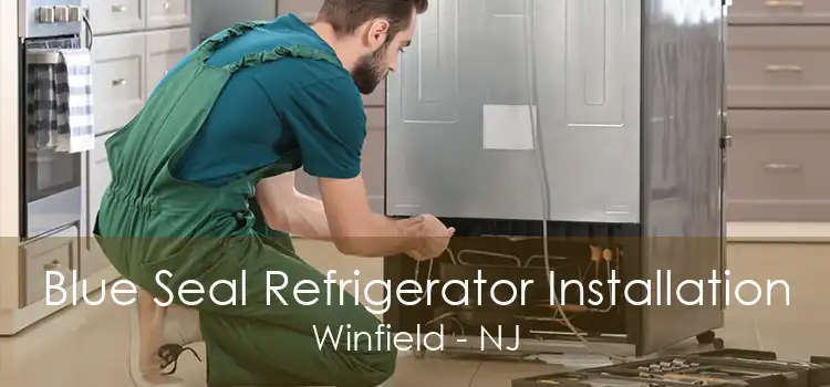 Blue Seal Refrigerator Installation Winfield - NJ