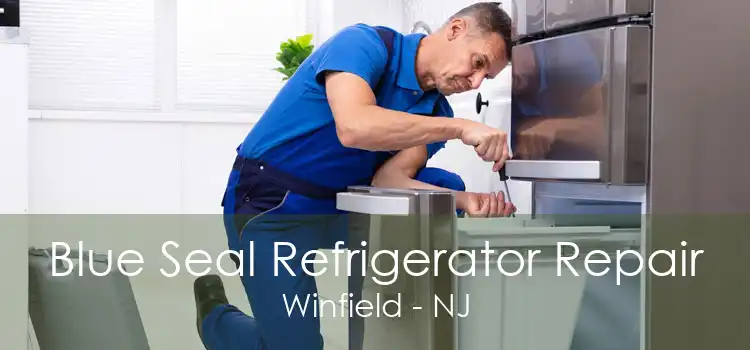 Blue Seal Refrigerator Repair Winfield - NJ