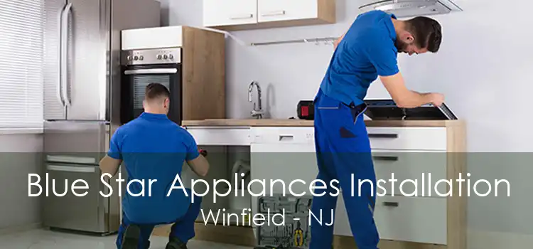 Blue Star Appliances Installation Winfield - NJ