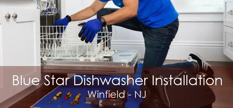 Blue Star Dishwasher Installation Winfield - NJ