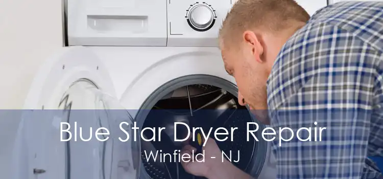 Blue Star Dryer Repair Winfield - NJ