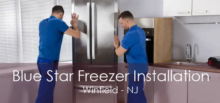 Blue Star Freezer Installation Winfield - NJ