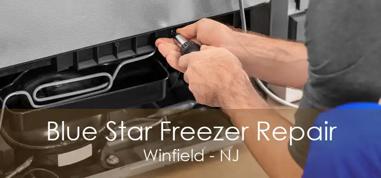 Blue Star Freezer Repair Winfield - NJ