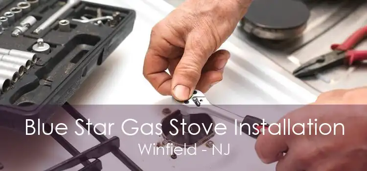 Blue Star Gas Stove Installation Winfield - NJ