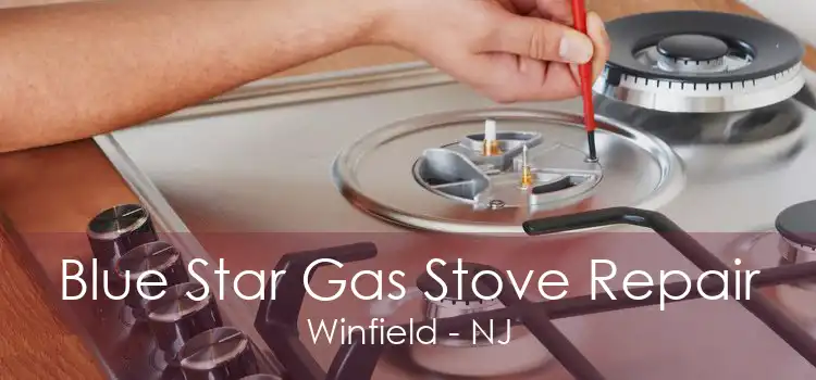 Blue Star Gas Stove Repair Winfield - NJ