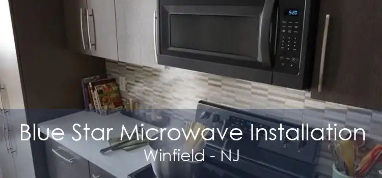 Blue Star Microwave Installation Winfield - NJ