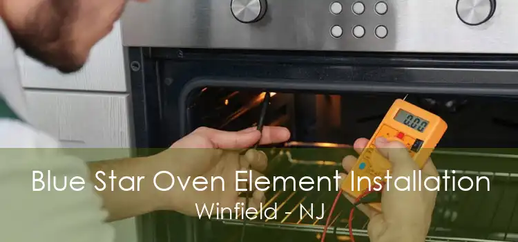 Blue Star Oven Element Installation Winfield - NJ