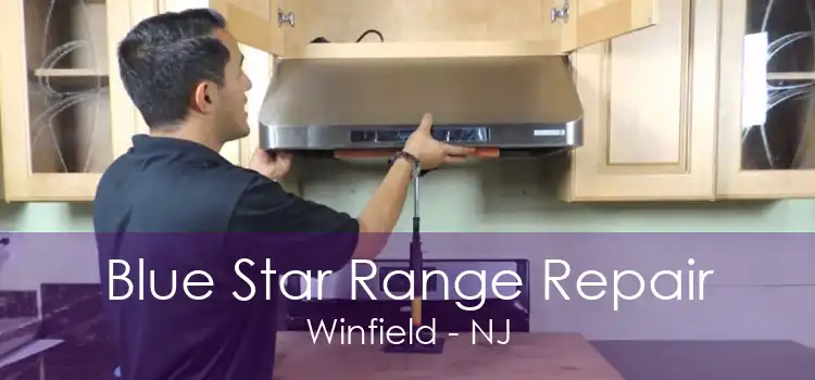 Blue Star Range Repair Winfield - NJ