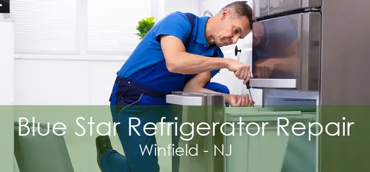 Blue Star Refrigerator Repair Winfield - NJ