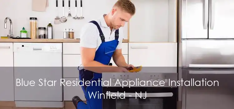 Blue Star Residential Appliance Installation Winfield - NJ