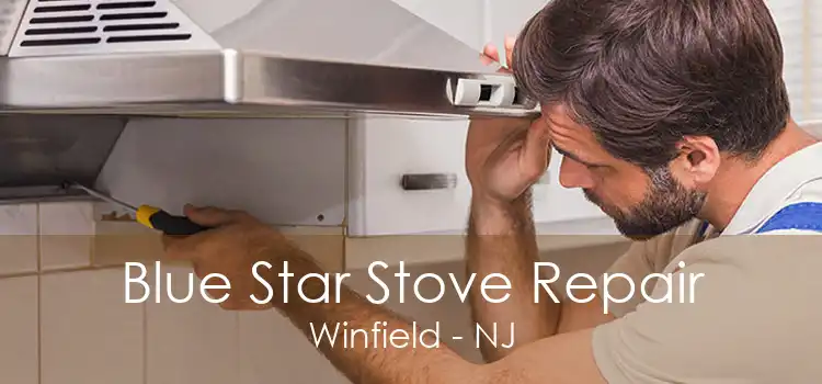 Blue Star Stove Repair Winfield - NJ