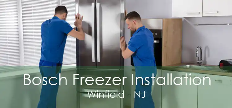 Bosch Freezer Installation Winfield - NJ