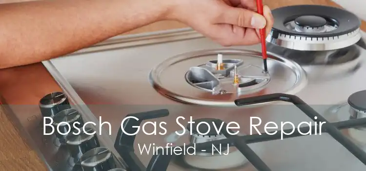 Bosch Gas Stove Repair Winfield - NJ