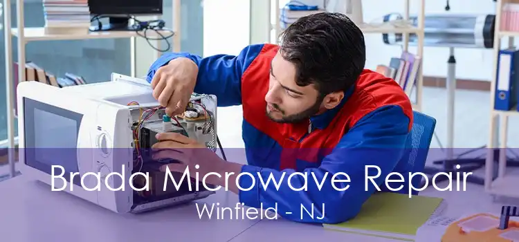 Brada Microwave Repair Winfield - NJ