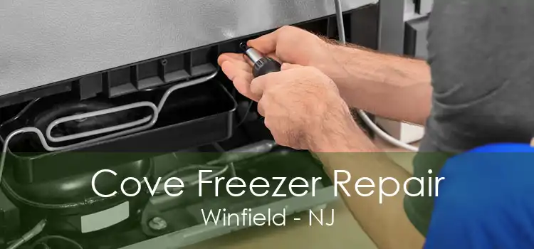 Cove Freezer Repair Winfield - NJ