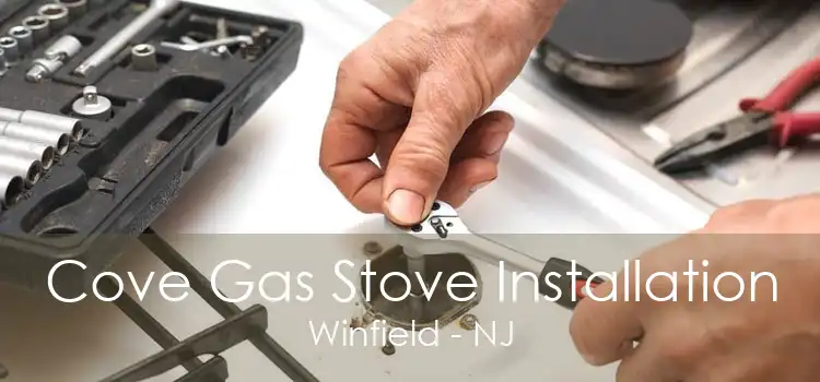 Cove Gas Stove Installation Winfield - NJ