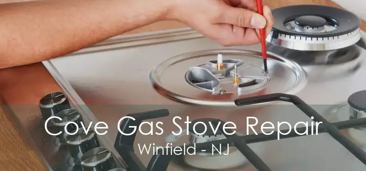 Cove Gas Stove Repair Winfield - NJ
