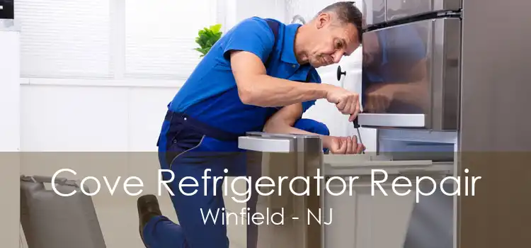 Cove Refrigerator Repair Winfield - NJ