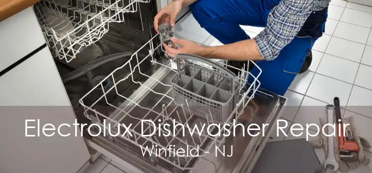 Electrolux Dishwasher Repair Winfield - NJ