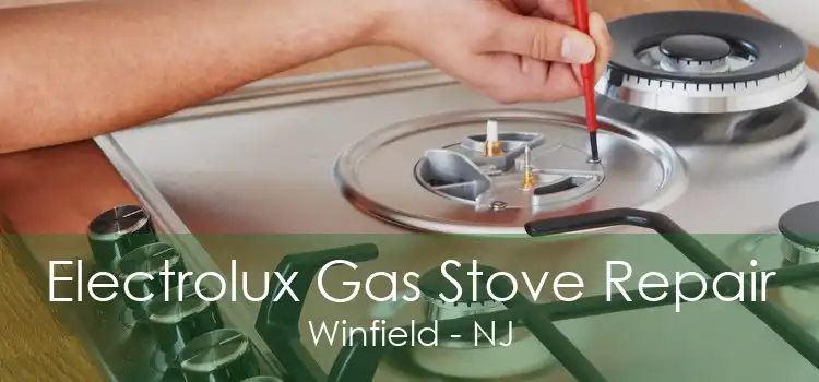 Electrolux Gas Stove Repair Winfield - NJ