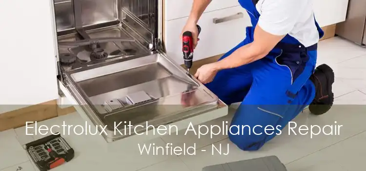 Electrolux Kitchen Appliances Repair Winfield - NJ
