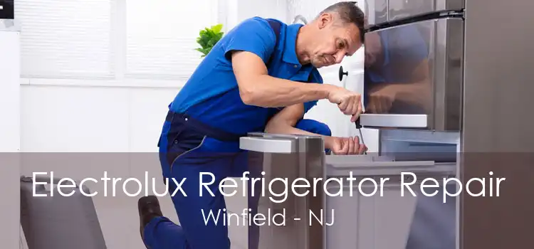 Electrolux Refrigerator Repair Winfield - NJ