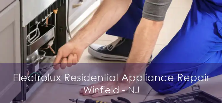 Electrolux Residential Appliance Repair Winfield - NJ