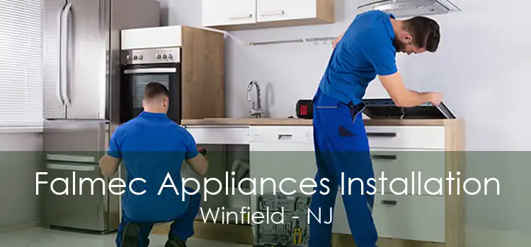 Falmec Appliances Installation Winfield - NJ