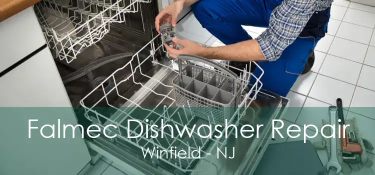 Falmec Dishwasher Repair Winfield - NJ
