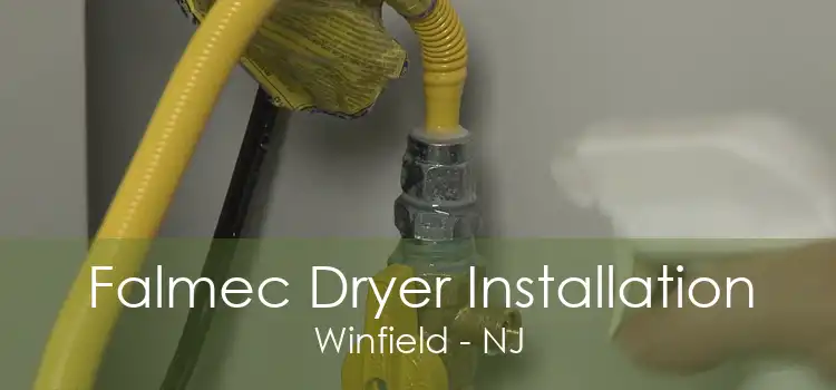 Falmec Dryer Installation Winfield - NJ